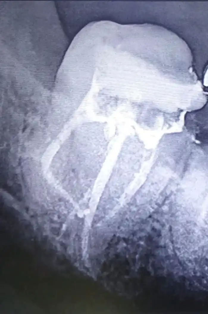 Pro dental talks post