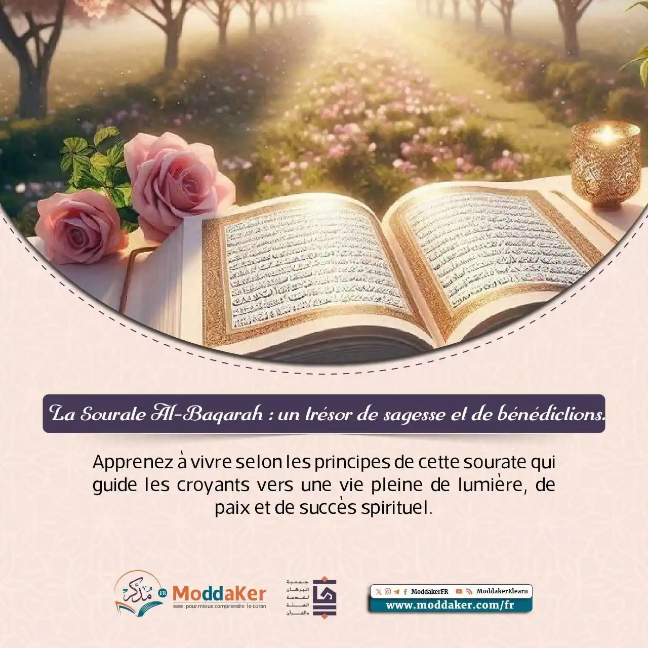 Image from Programme "Moddaker" français: 📢📢 𝑳'𝒊𝒏𝒔𝒄𝒓𝒊𝒑𝒕𝒊𝒐𝒏 𝒐𝒖𝒗𝒓𝒆 𝒅𝒆𝒎𝒂𝒊𝒏, 𝒊𝒏𝒄𝒉𝒂'𝑨�...