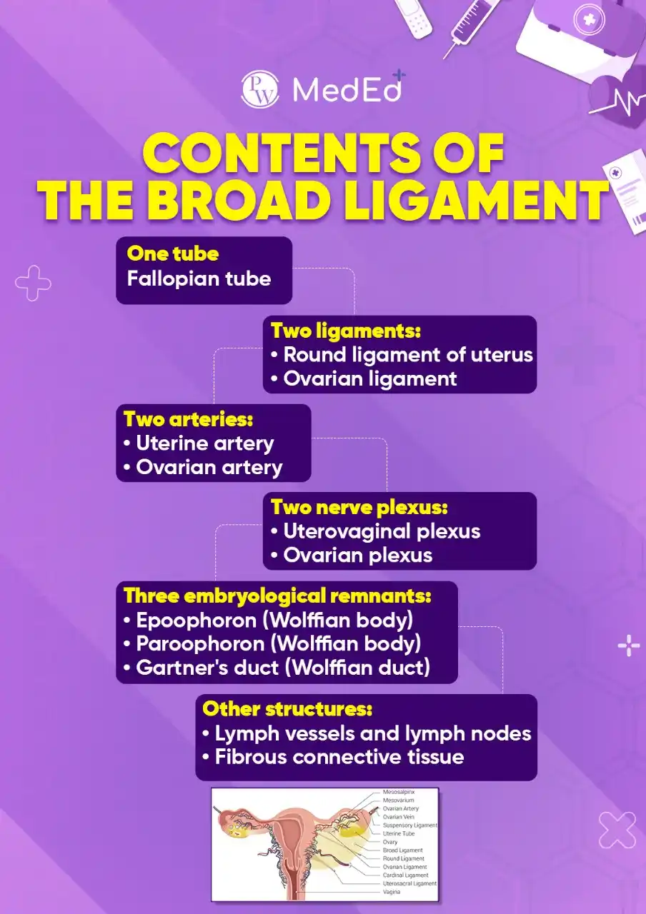 PW MedEd post