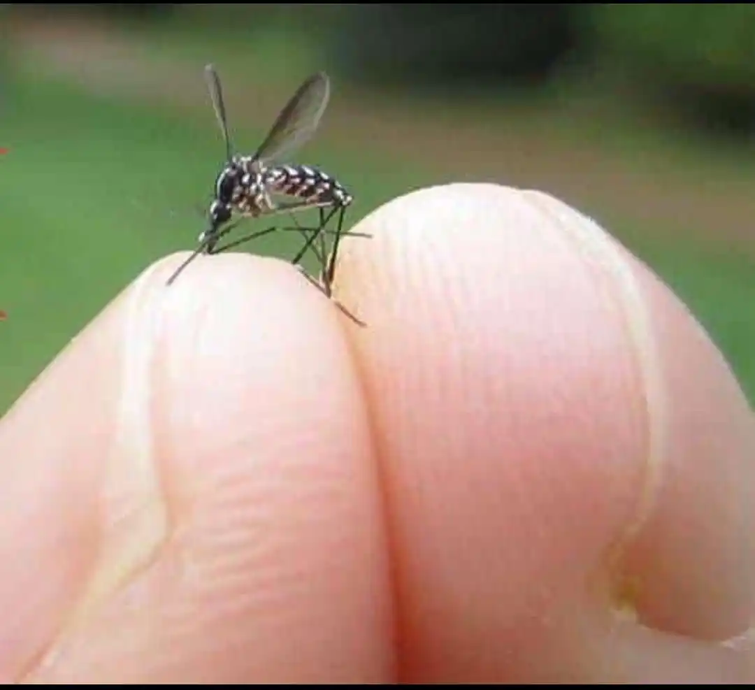 🌹پیام انسانیت | Message Of Humanity🌹 post