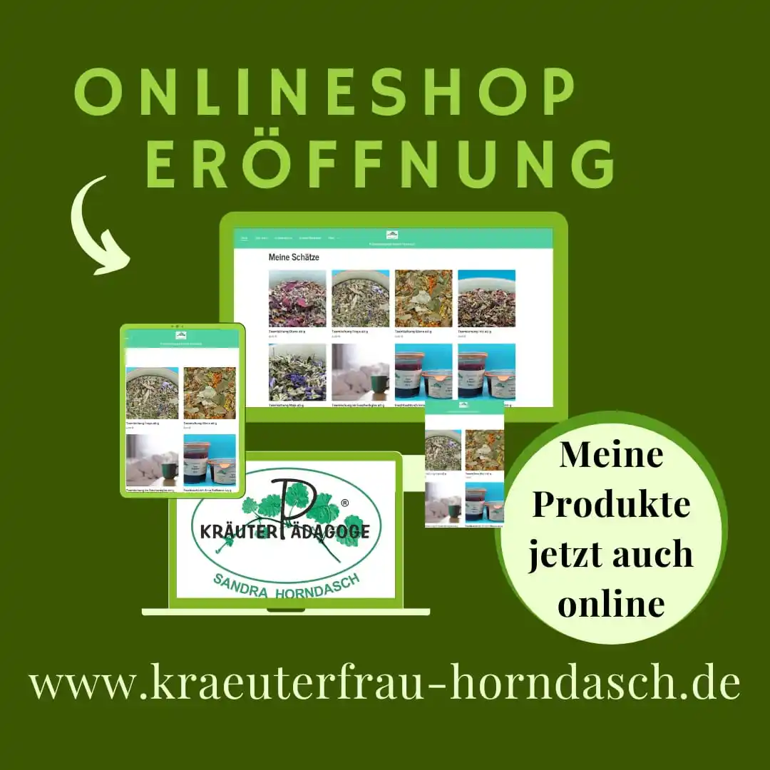 Image from regionaL Leutershausen: *Kräuterpädagogin Sandra Horndasch* _Köstliches und Kreatives aus Gart...