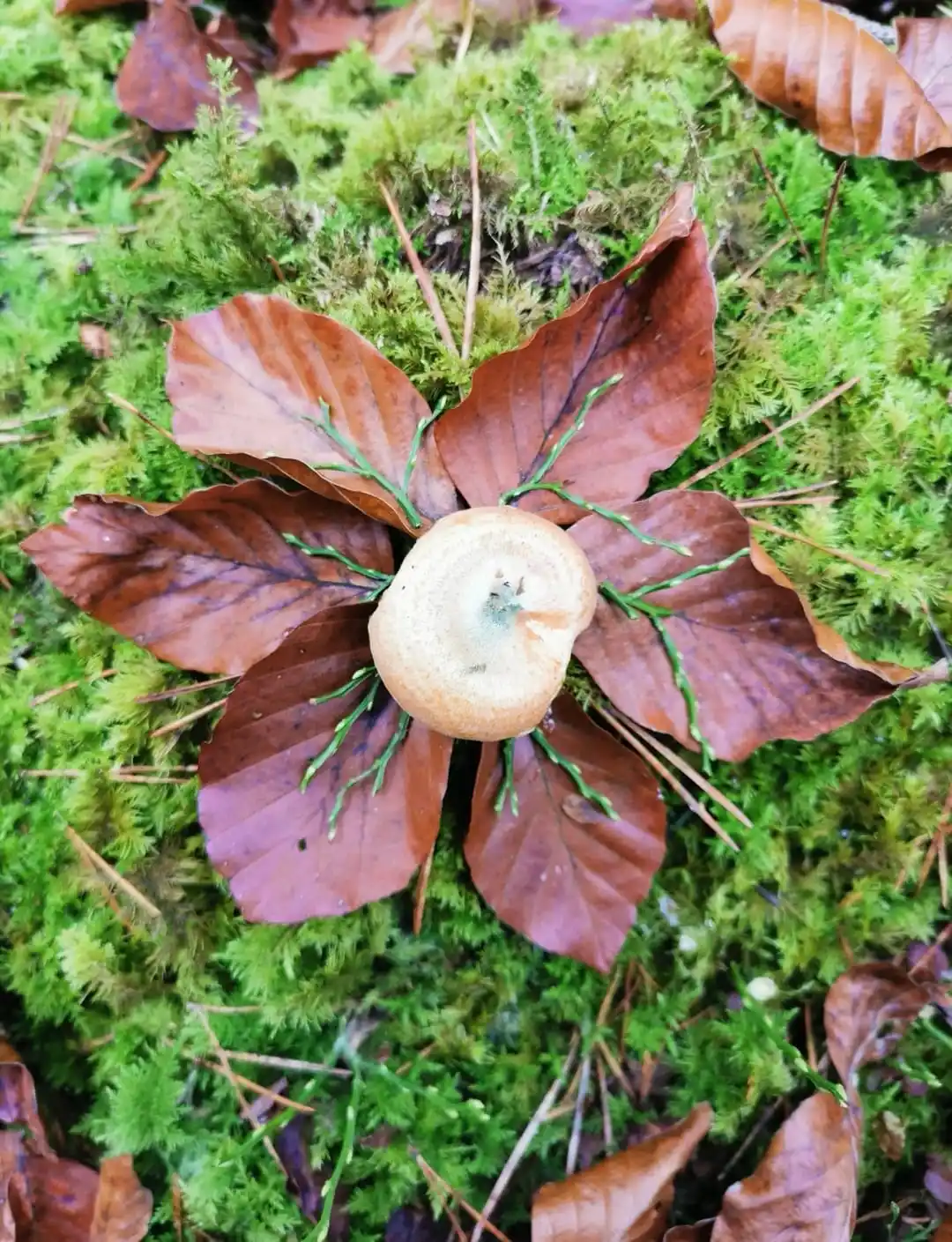 regionaL Leutershausen post