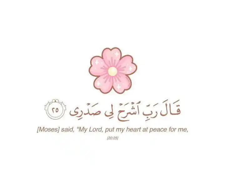 Rehabilitation 💚 Soul 💚 post