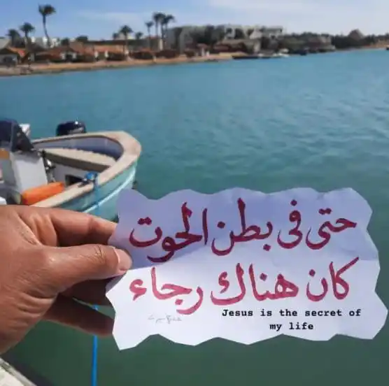 رف الكتب 📚 post