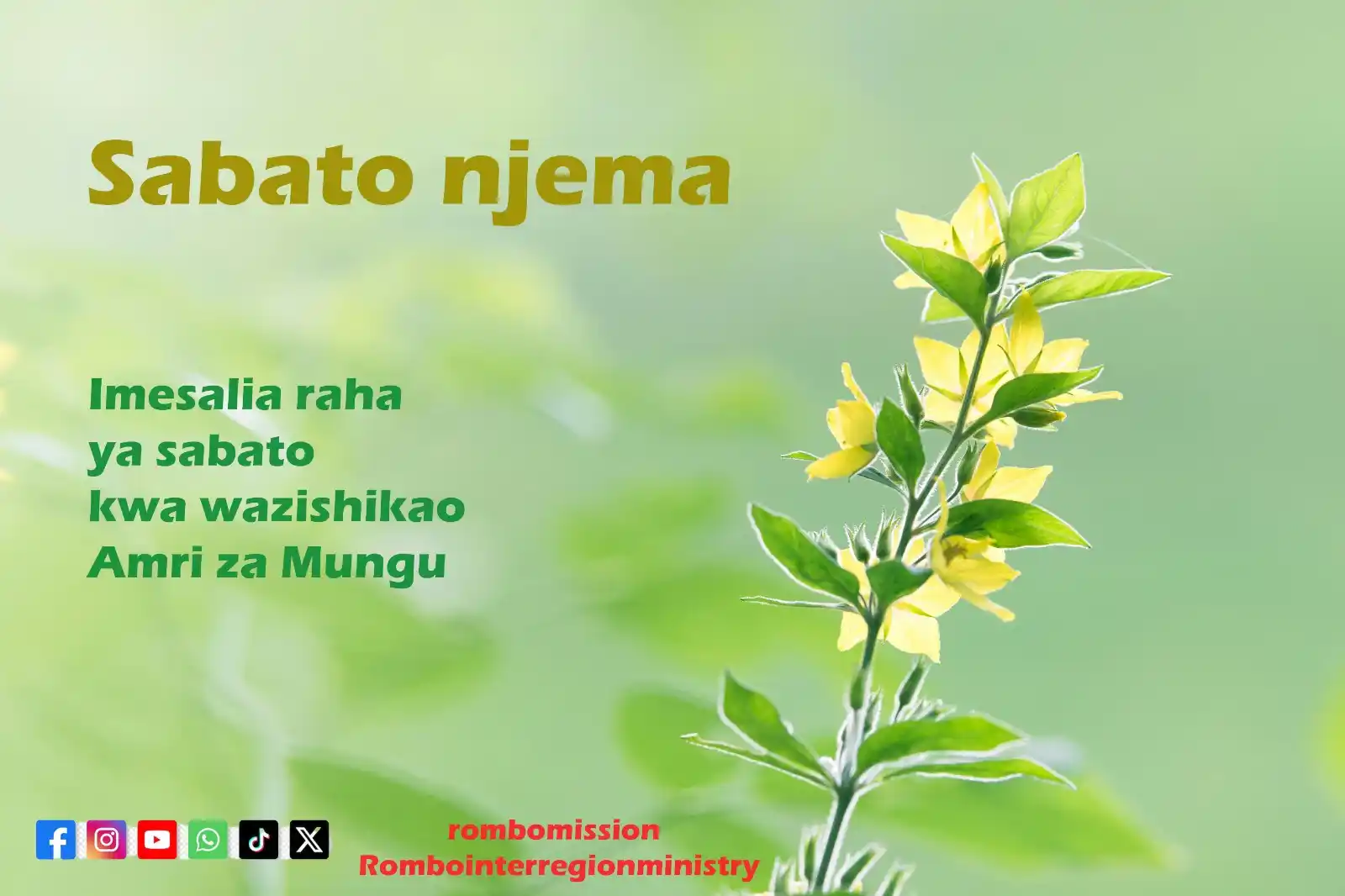 𝗥𝗢𝗠𝗕𝗢 𝗠𝗜𝗦𝗦𝗜𝗢𝗡 𝗧𝗩 post