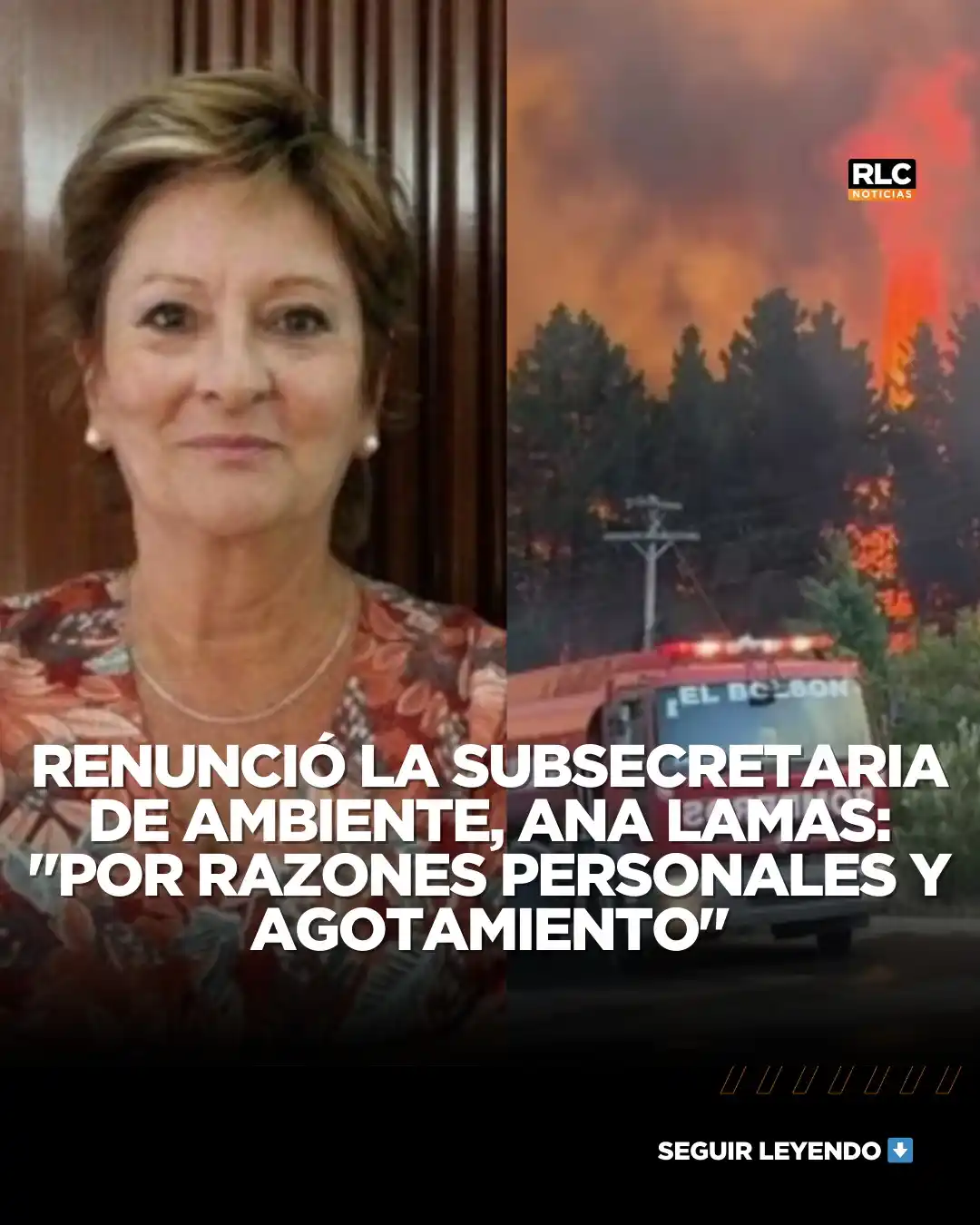 ROSARIOLACIUDAD.COM.AR +RLC post