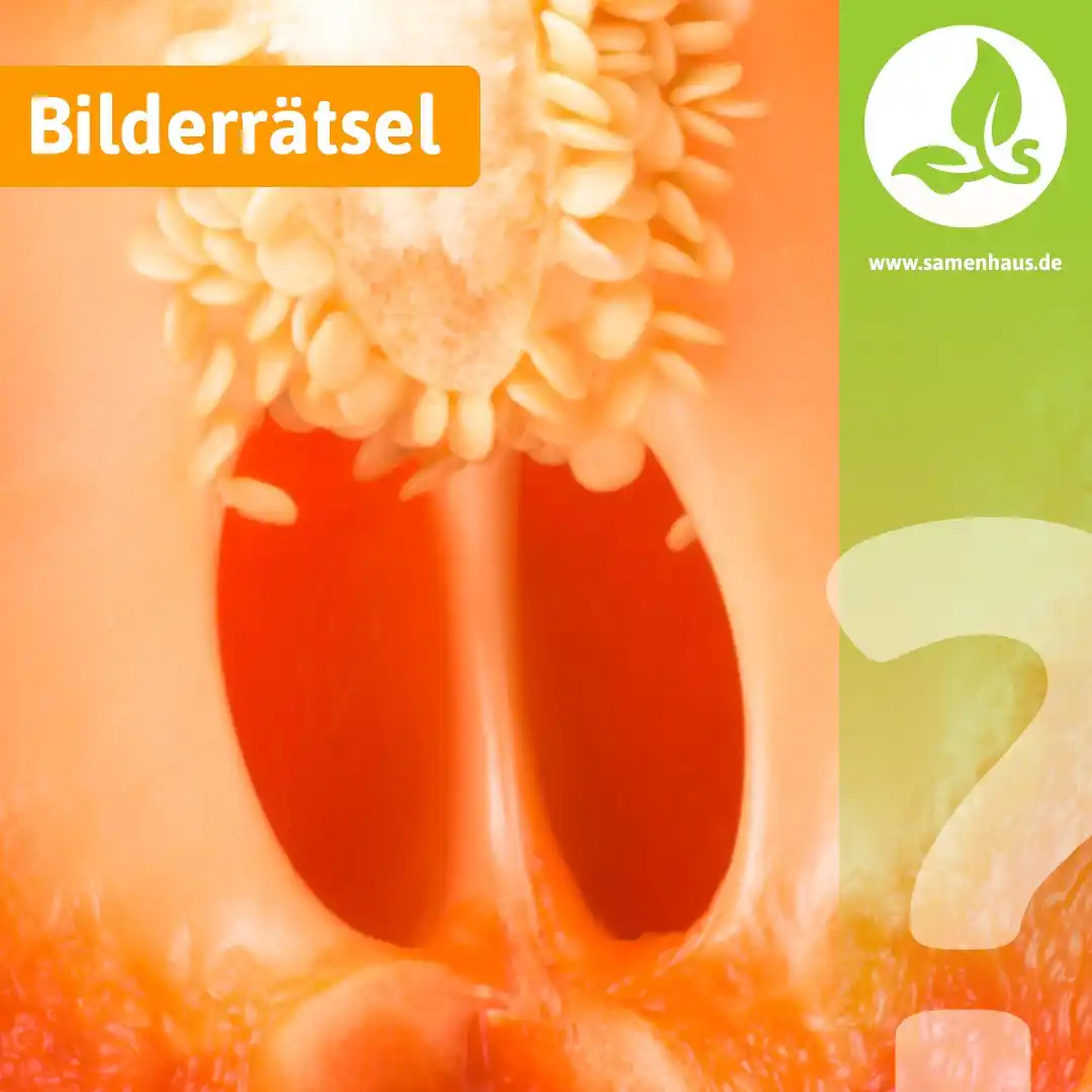 Samenhaus.de Gartenkanal post