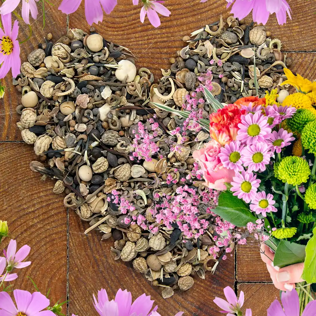 Samenhaus.de Gartenkanal post