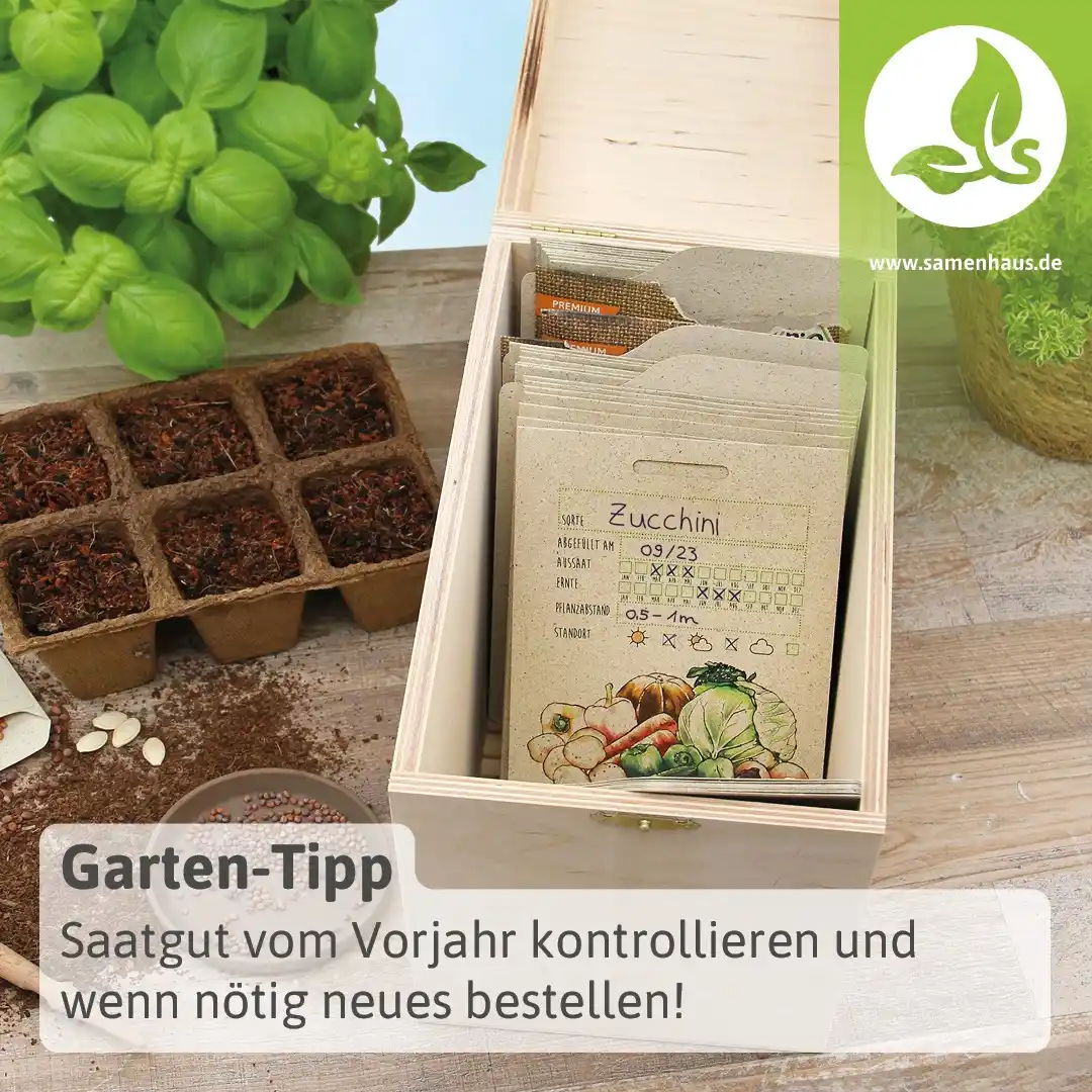 Samenhaus.de Gartenkanal post