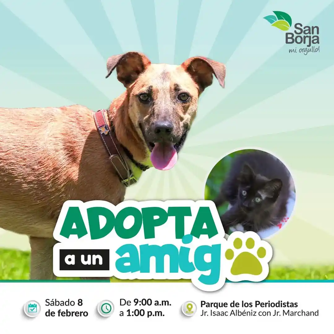 San Borja Informa📢 post