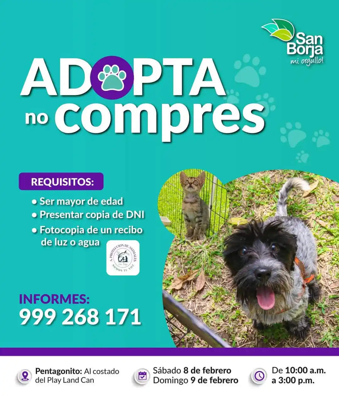 Image from San Borja Informa📢: 🐾 ¡Cambia una vida, adopta un amigo! Ven este sábado 8 y domingo 9 ...