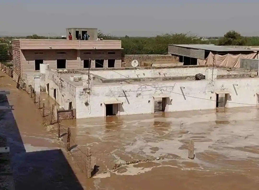 सत्यवादी वीर तेजाजी महाराज 🚩व RLP टीम 🔰 post