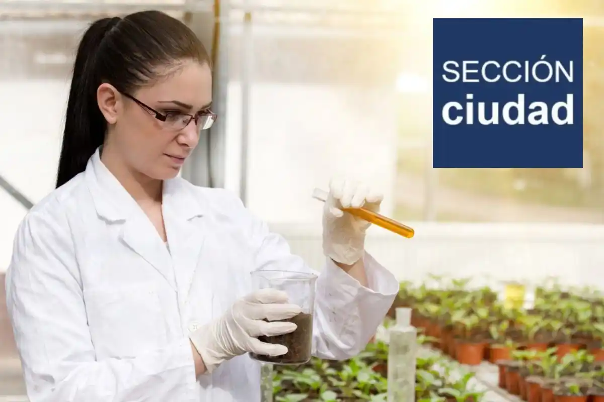 Sección Ciudad post