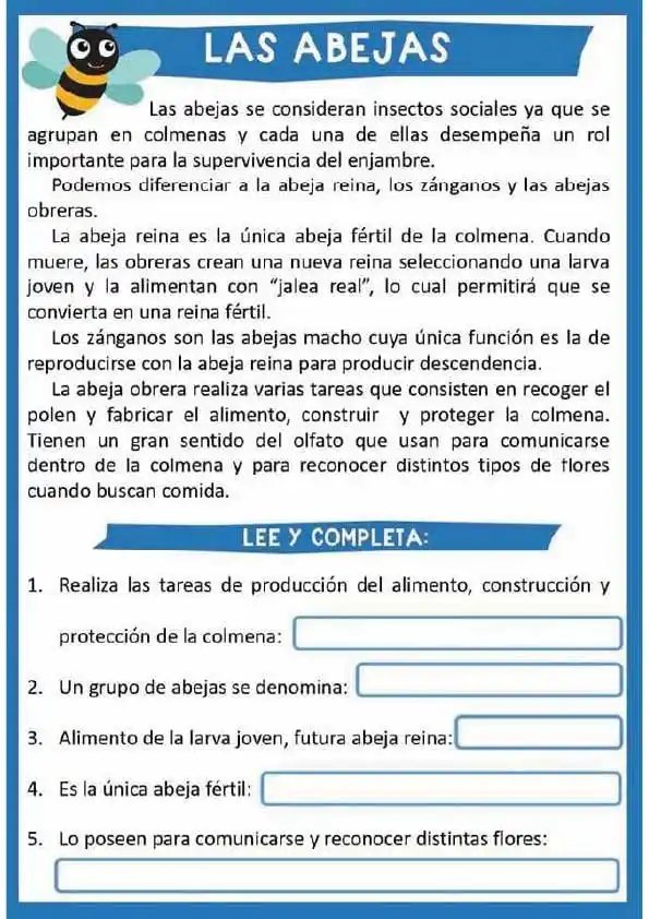 Sexto Grado - Material para Maestros post