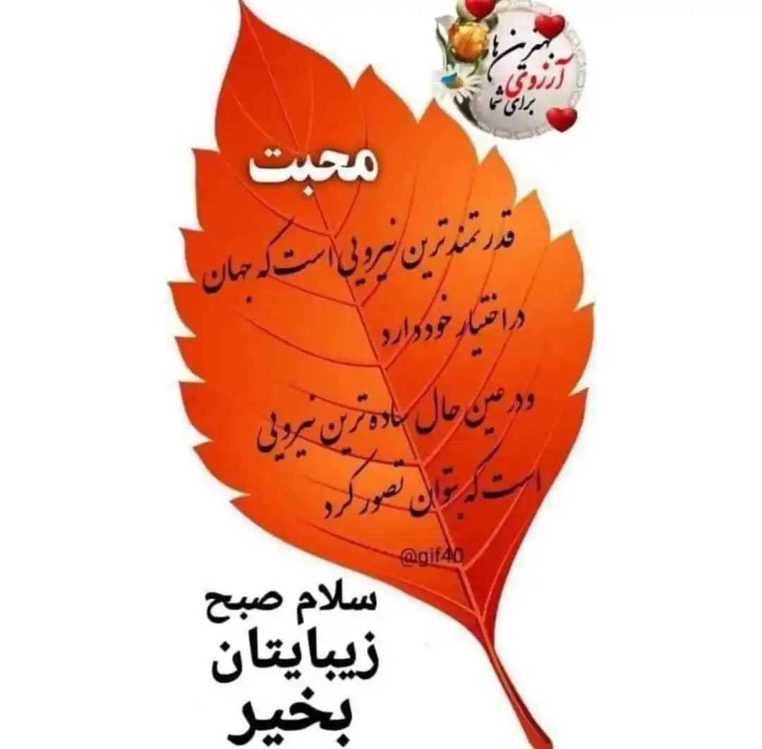 خدمات پولی ✨🇦🇫 عبدالسلام توکلی 🇦🇫 post