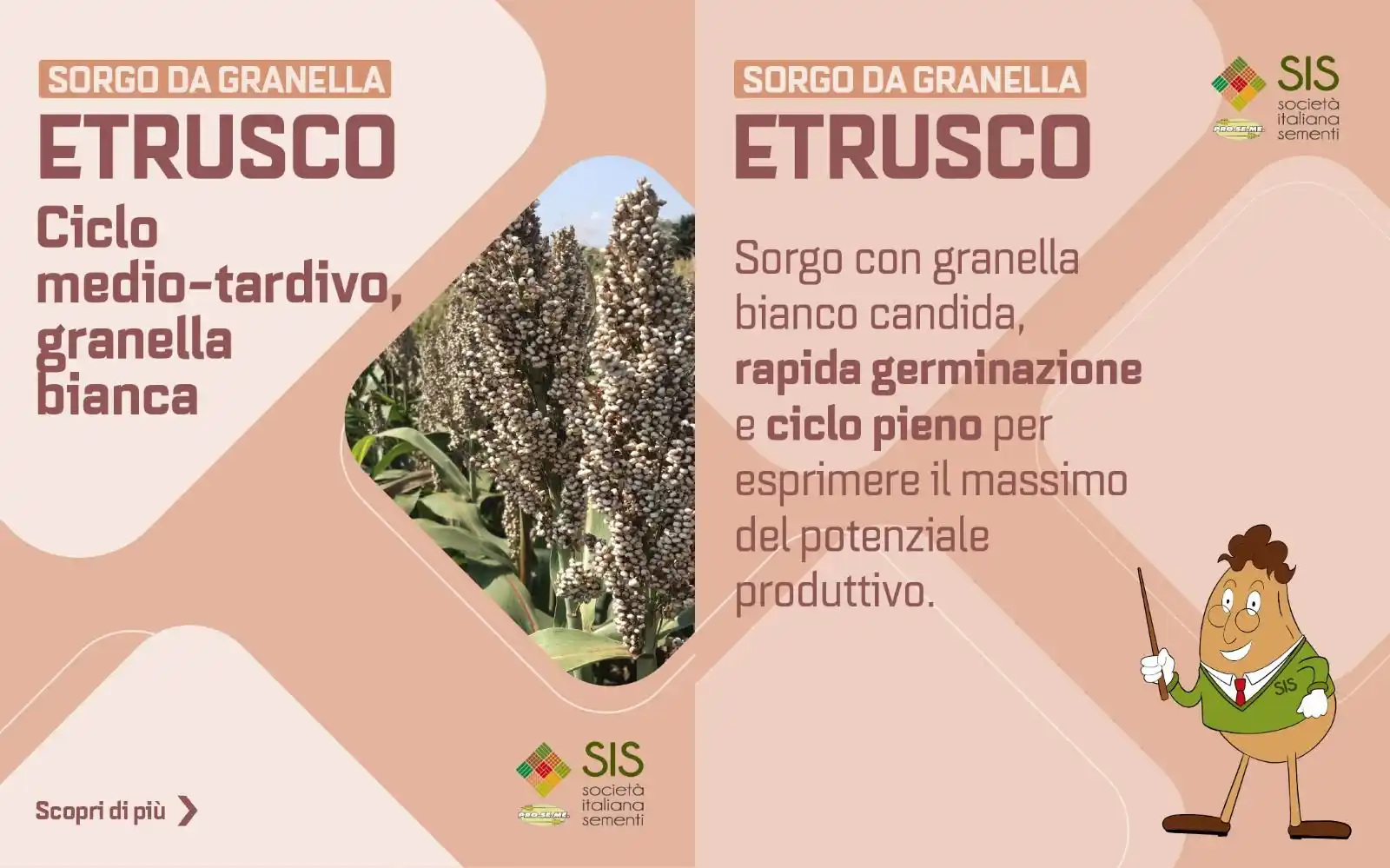 SIS Società italiana Sementi post