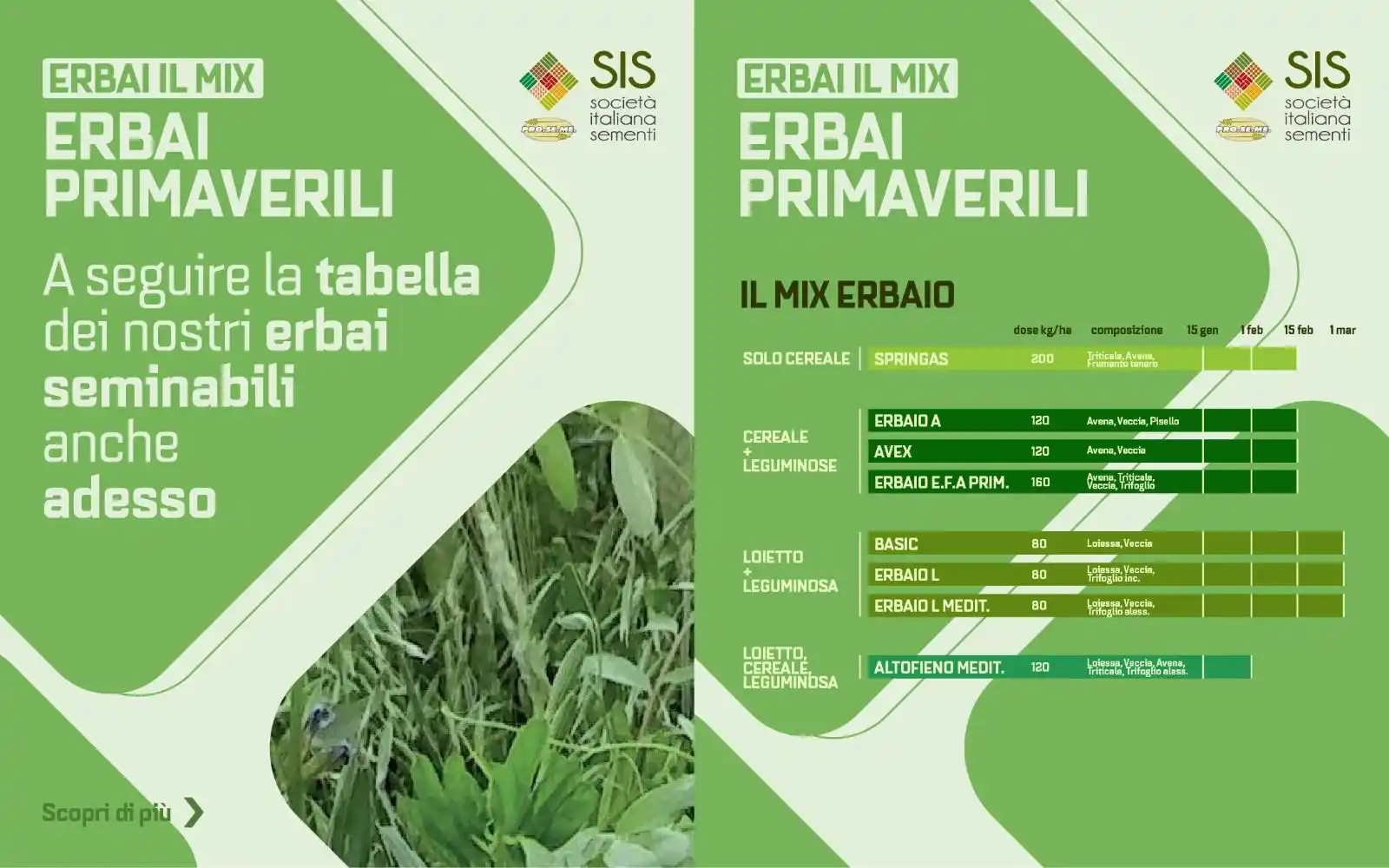 SIS Società italiana Sementi post