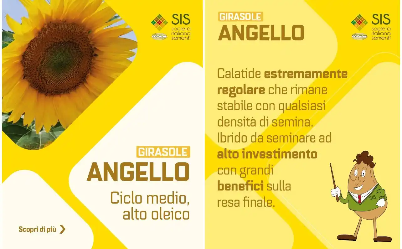 SIS Società italiana Sementi post