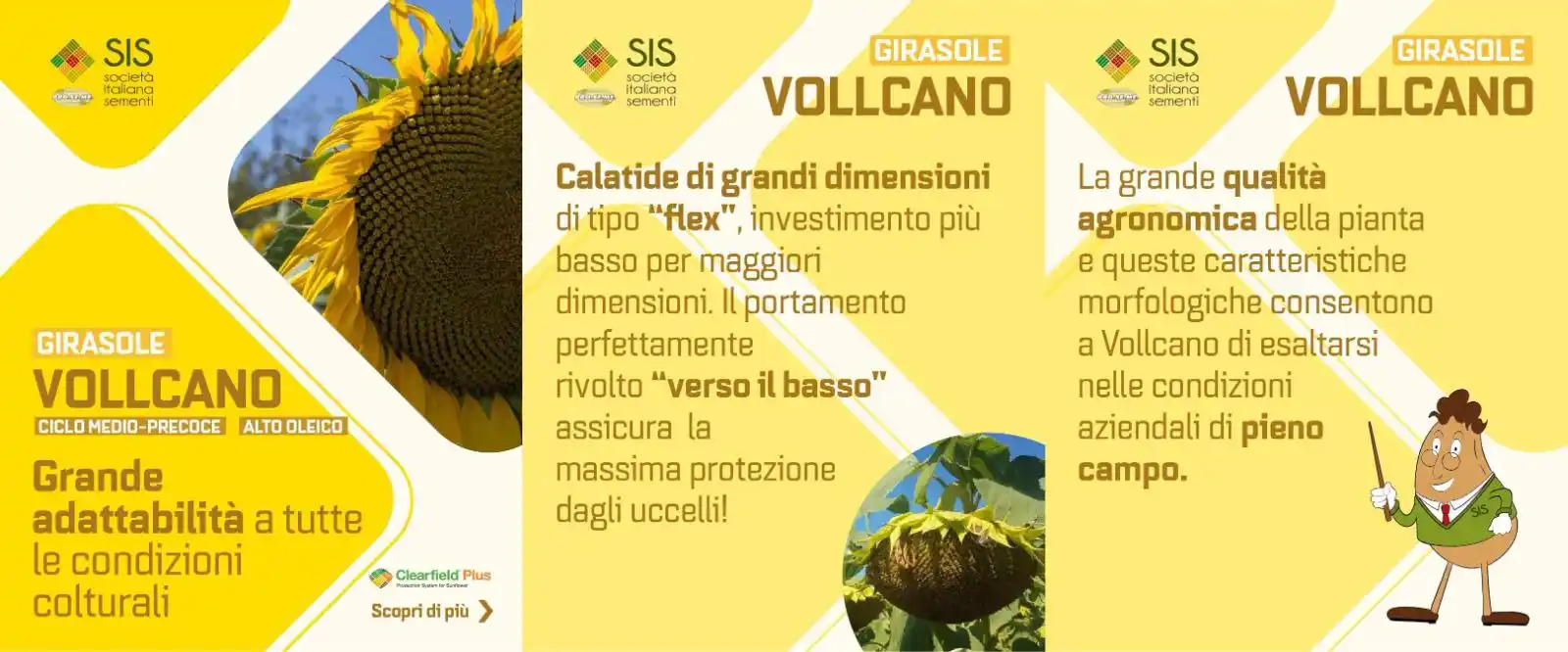 SIS Società italiana Sementi post