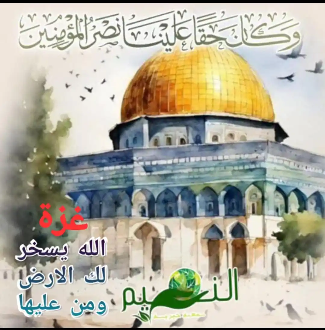 سقيا الماء في كل قطاع غزة (جنوب ووسط وشمال غزة) post