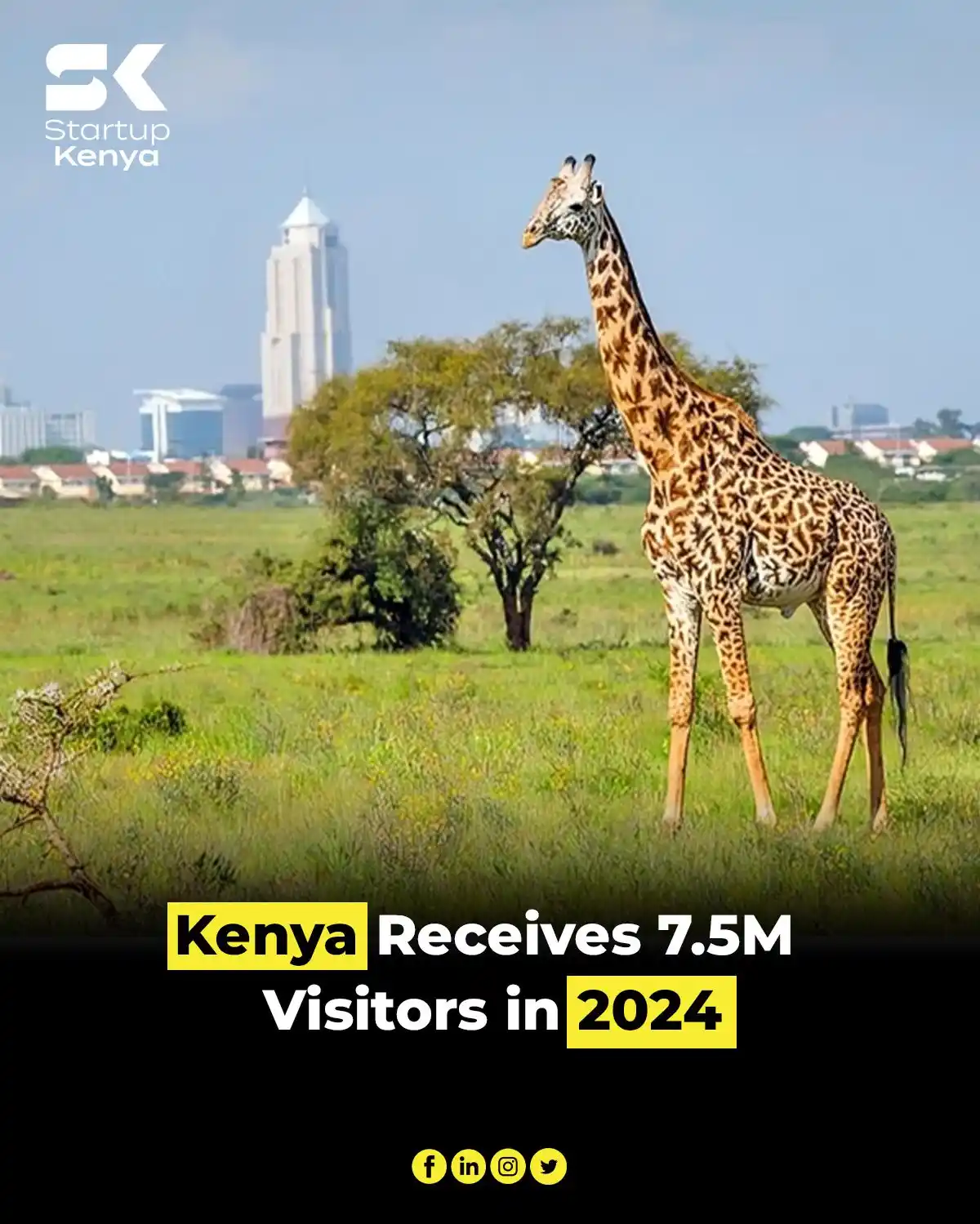 StartupKenya 💯 post