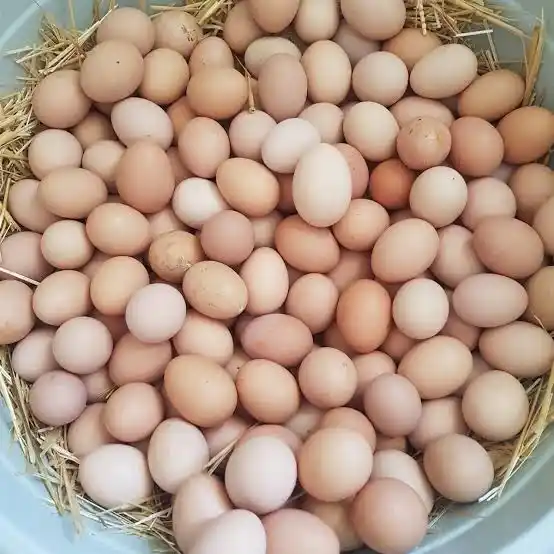 Tabipler Tarım Kooperatifi post