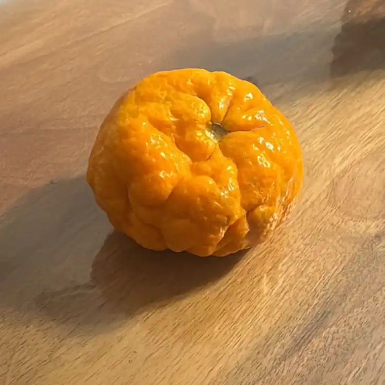 Tabipler Tarım Kooperatifi post
