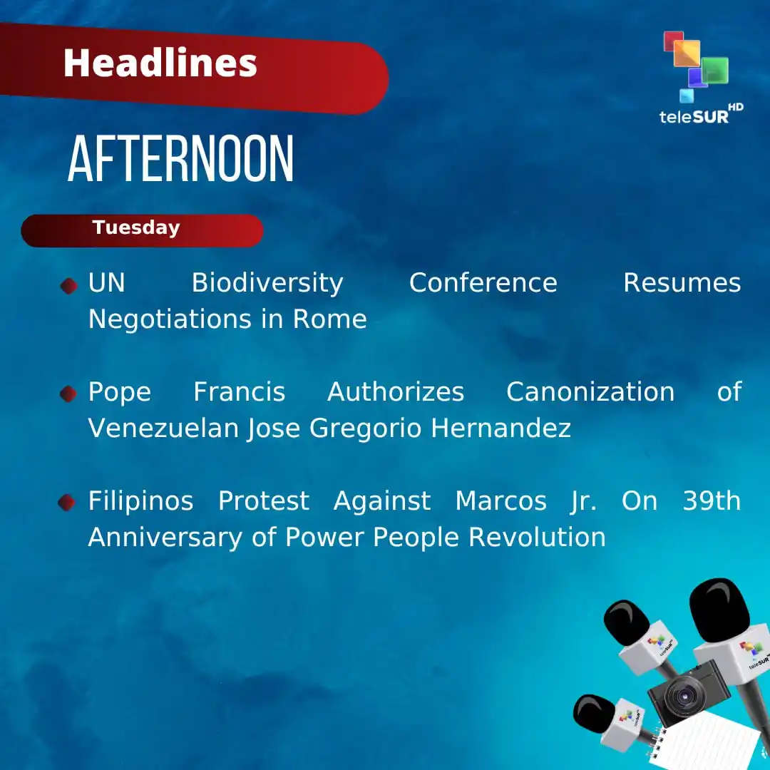 teleSUR English post