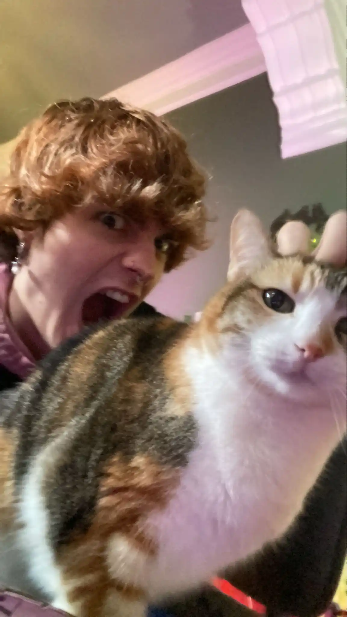 The Cilleker’s 🦄 post