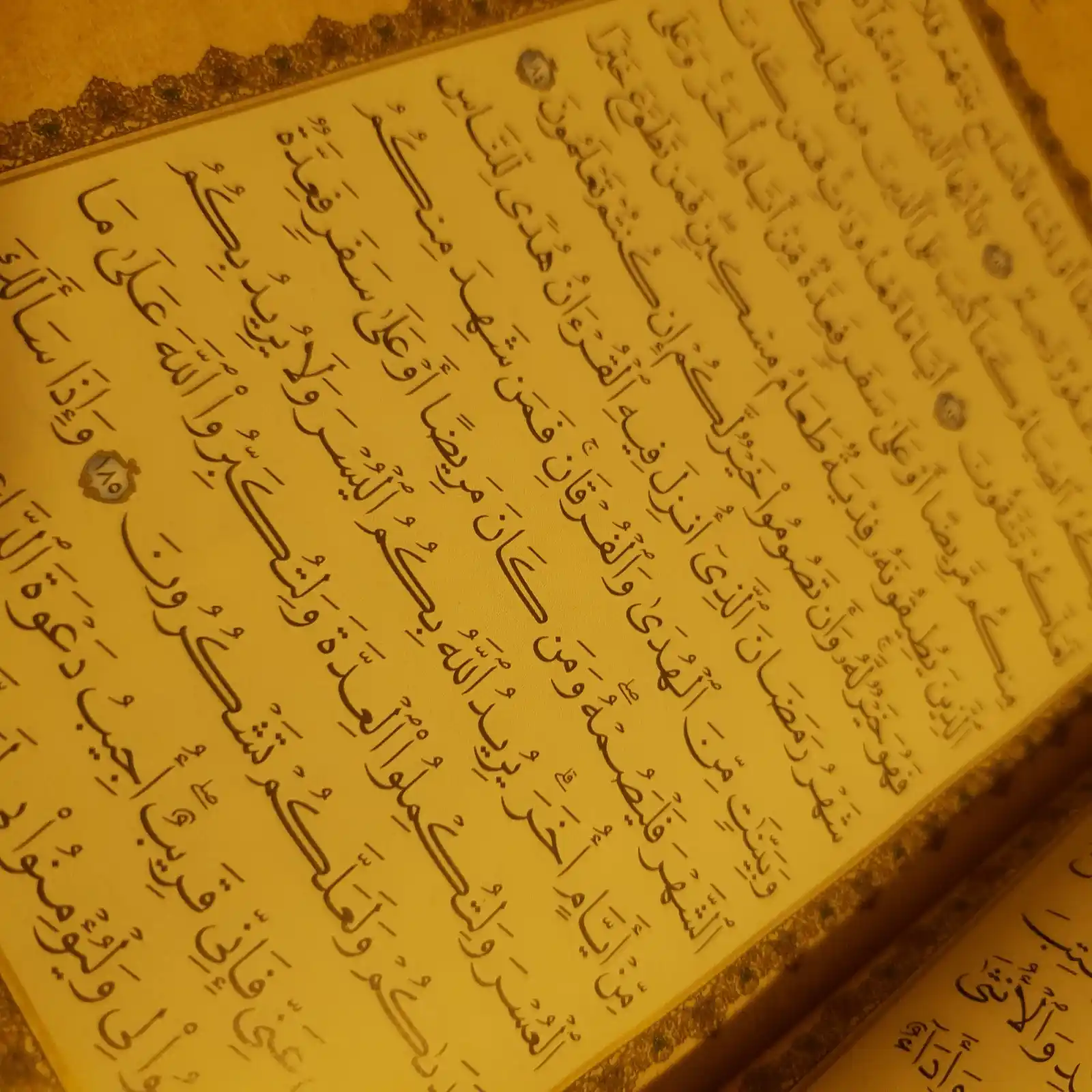 Tidings Of Bliss || ஆனந்த நற்செய்தி post