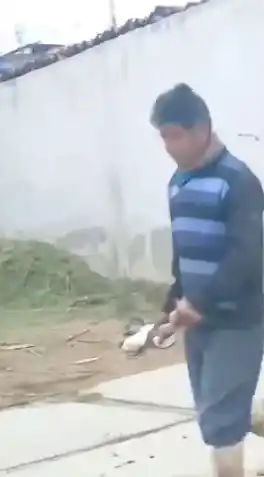 Trafico Puebla post