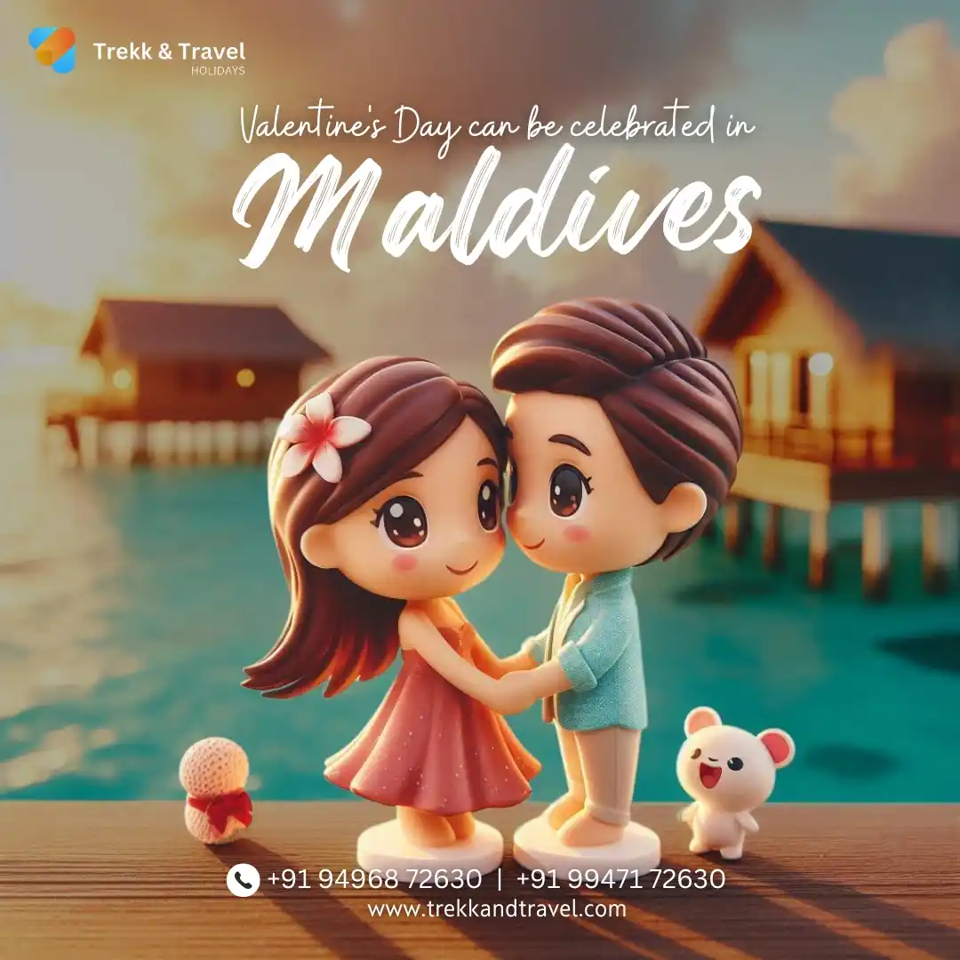 Trekk And Travel Holidays  post