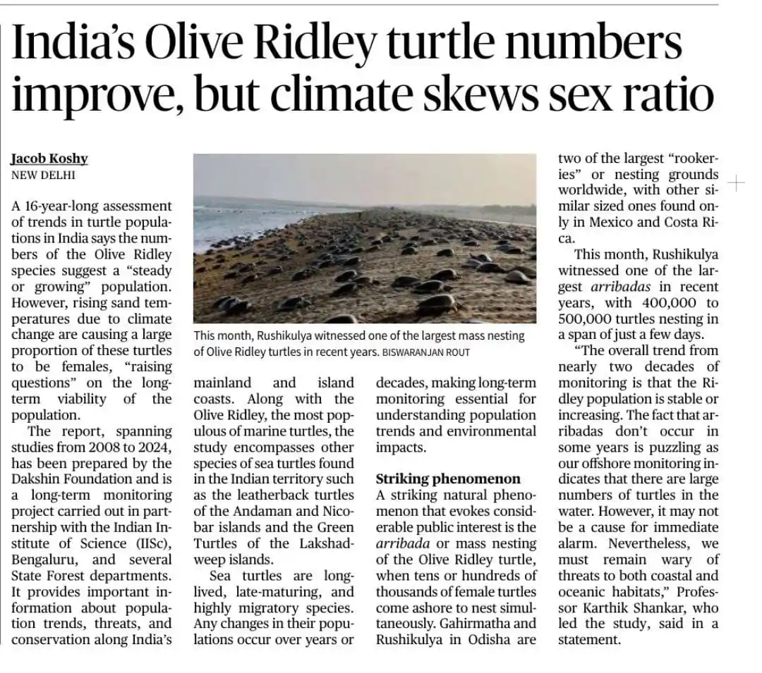 Image from UPSC FOCUS: India's Olive Ridley turtle numbers improve , but climate skews sex ra...