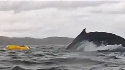 Weylan Knowledge Corporation post