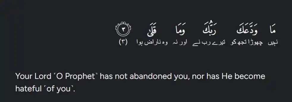 Where Quranic Wisdom Meets Everyday Life 🔄 post