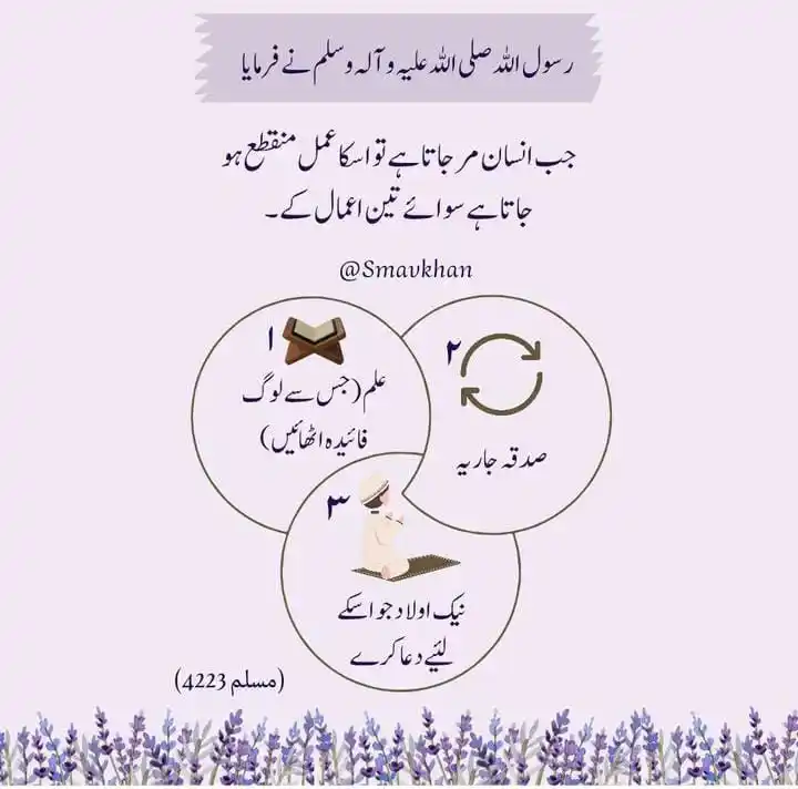 Where Quranic Wisdom Meets Everyday Life 🔄 post