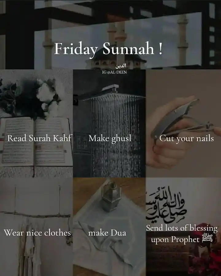 Where Quranic Wisdom Meets Everyday Life 🔄 post