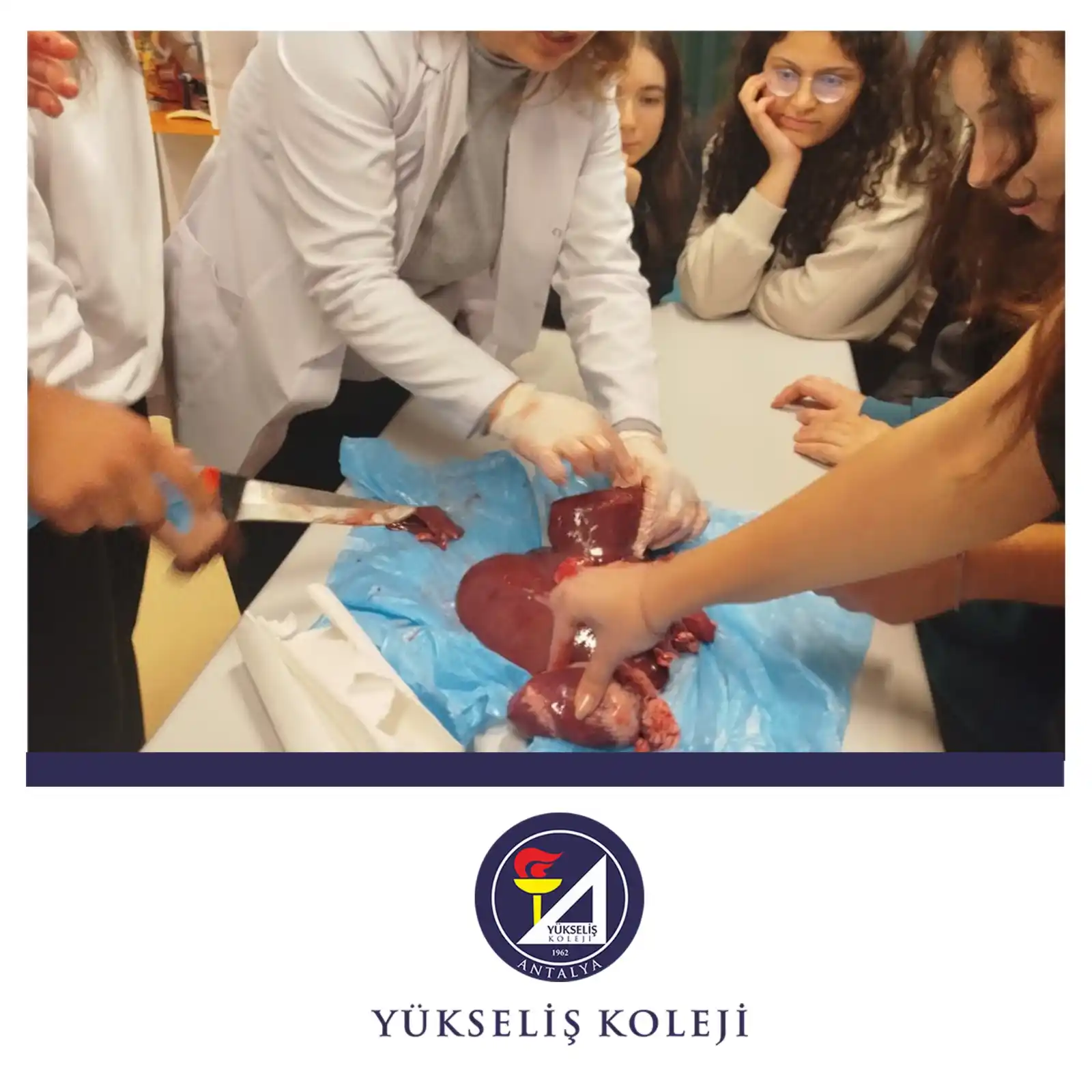 Image from Yükseliş Koleji: 🧬🔍 Laboratuvar Dersimizde Bugün: Karaciğer ve Kalp Diseksiyonu! Bugü...