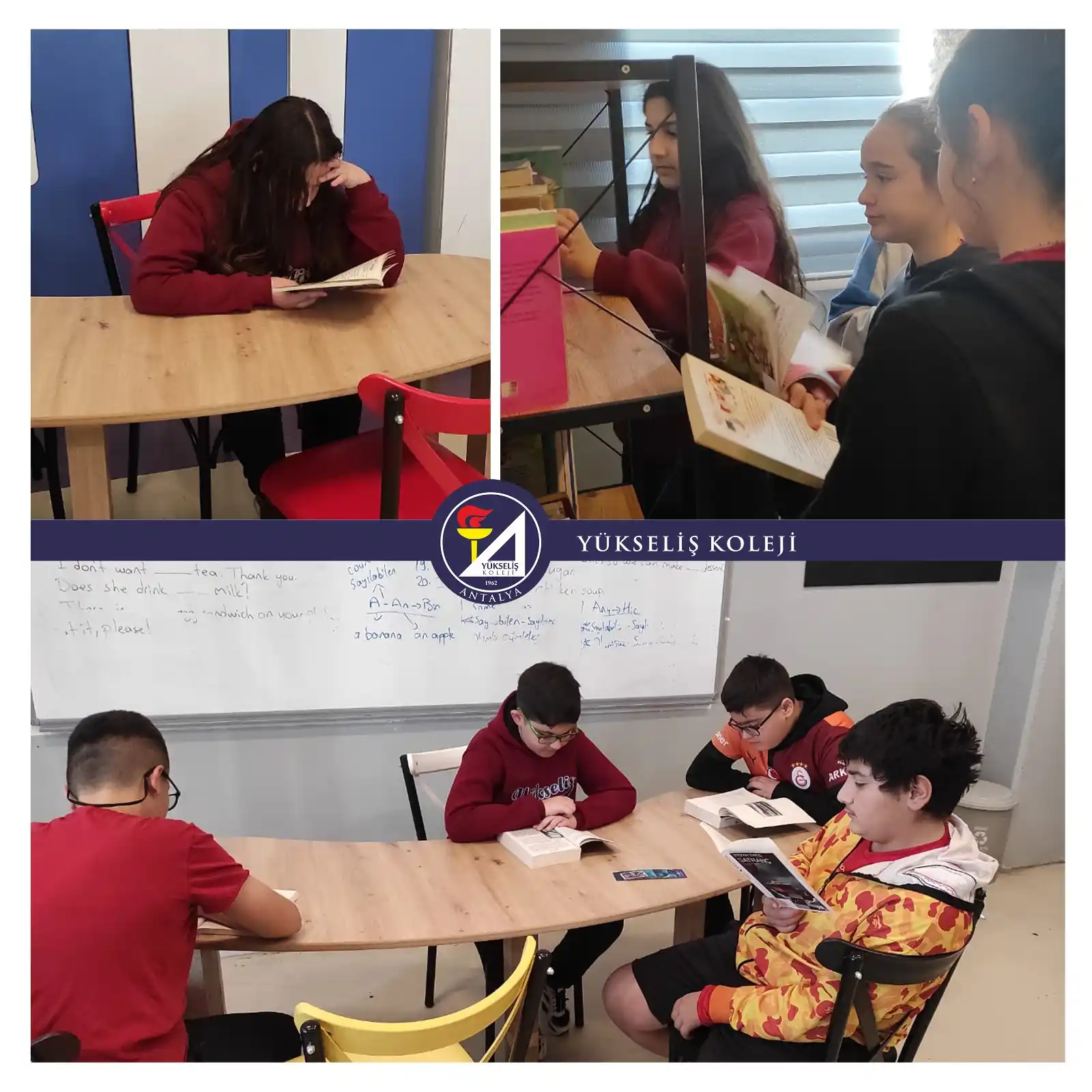 Yükseliş Koleji post