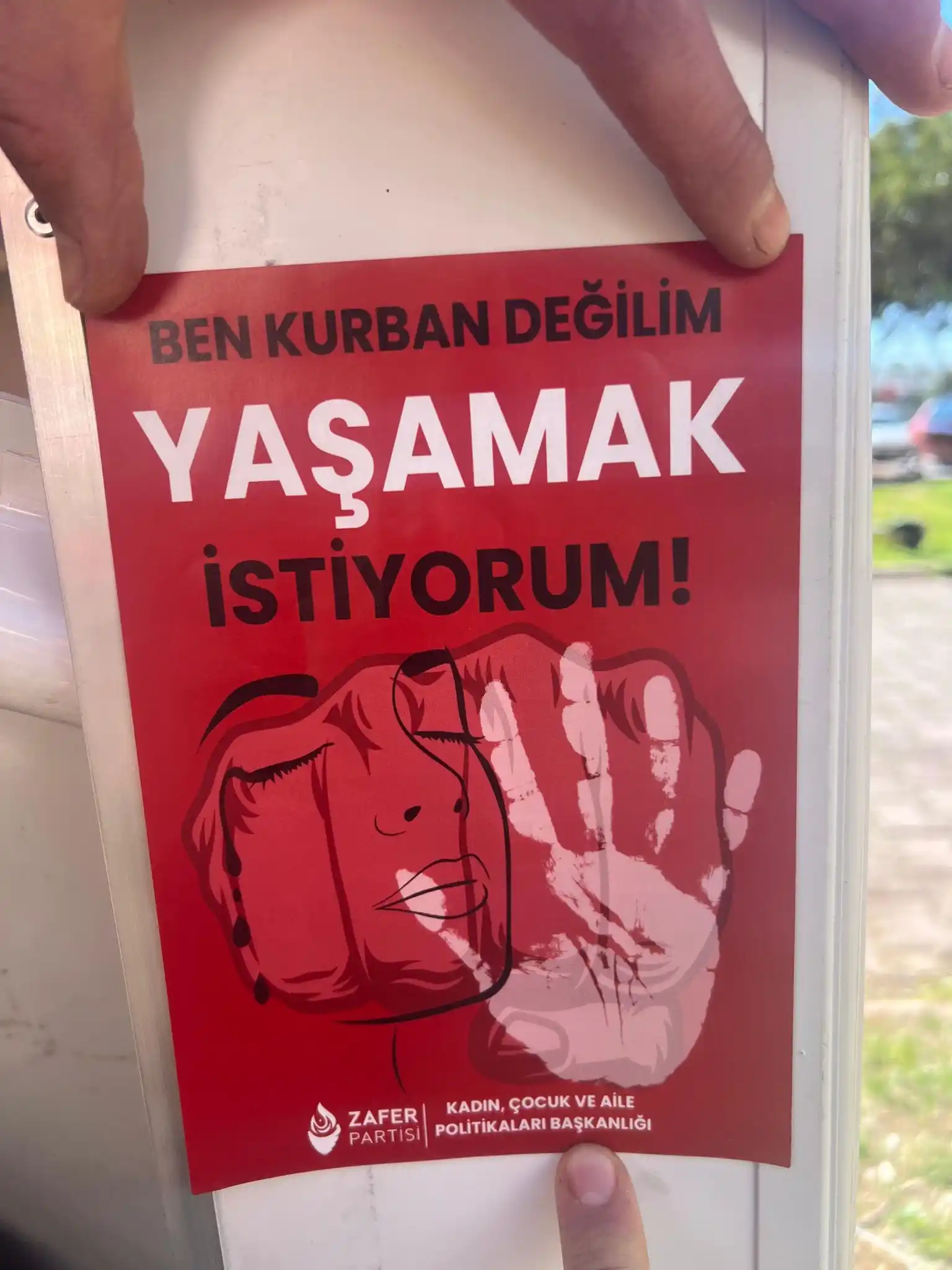 Zafer Partisi Gençlik Kolları post