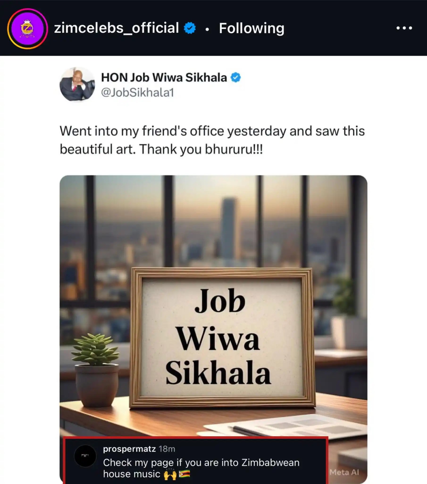 Zimcelebs Comment Section post