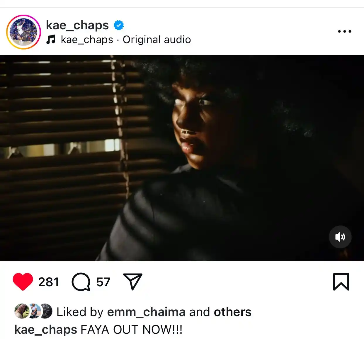 Zimcelebs Comment Section post