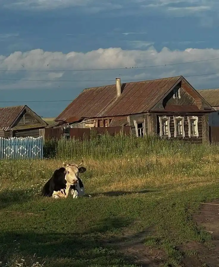 ‧₊˚🖇️✩ 𝔗𝔥𝔞𝔱'𝔰 𝔪𝔢 𝔣𝔯 ₊˚🎧⊹♡ post