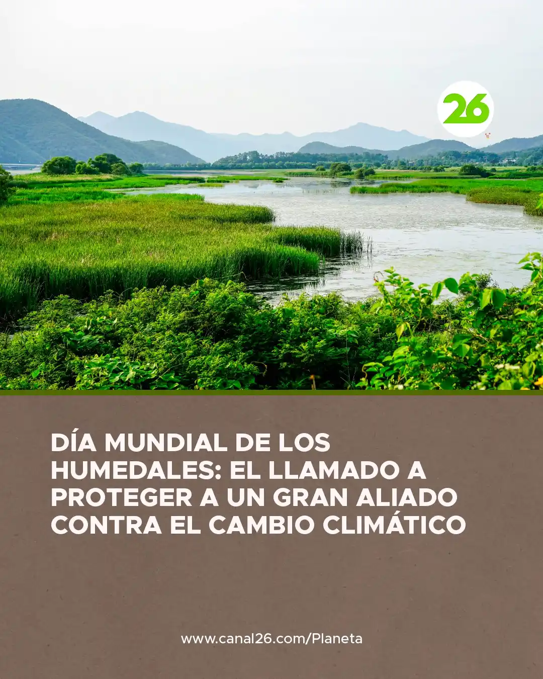 26 Planeta post