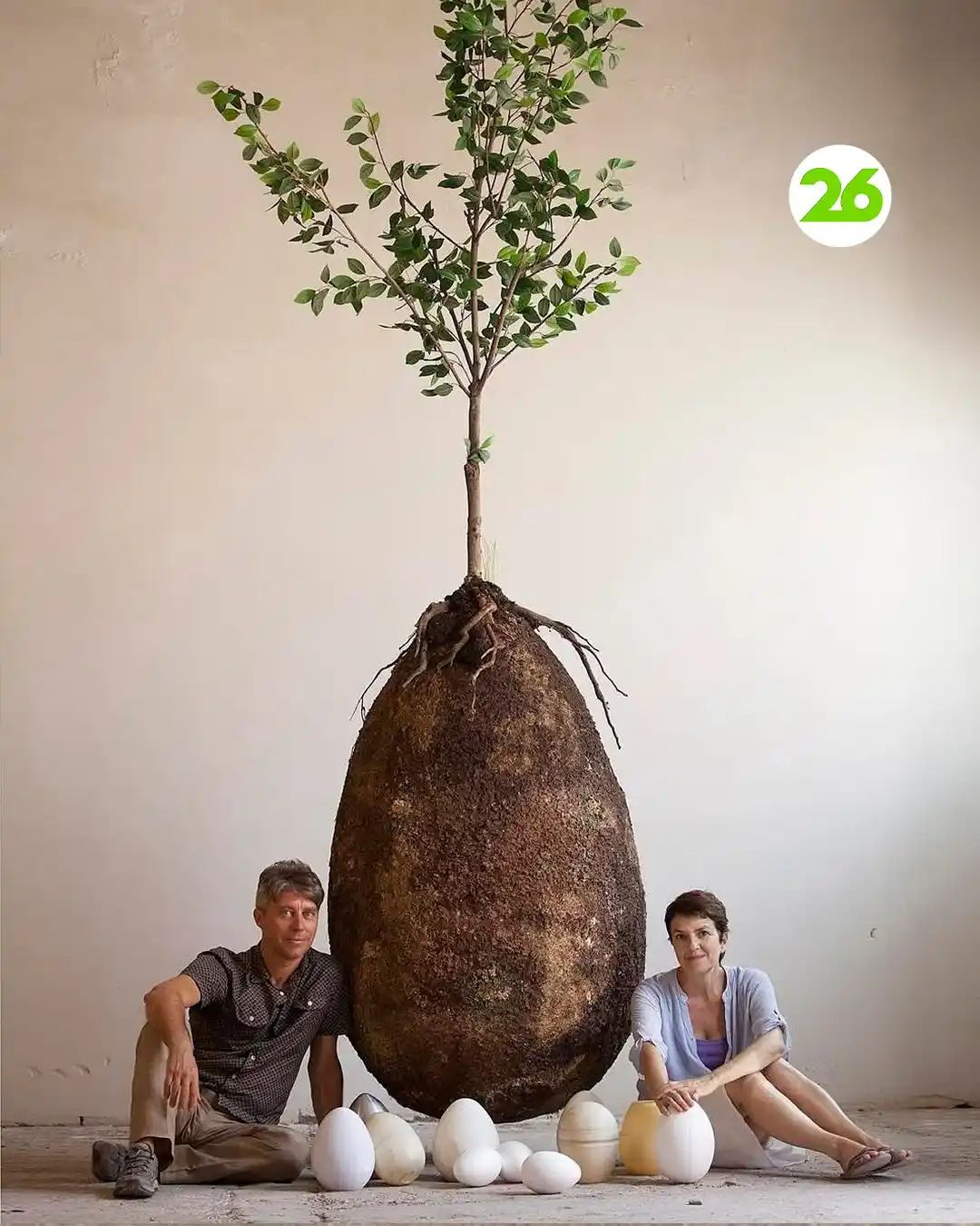 Image from 26 Planeta: ⚰️ ATAÚD BIODEGRADABLE 👉 Los ataúdes tradicionales contienen materi...