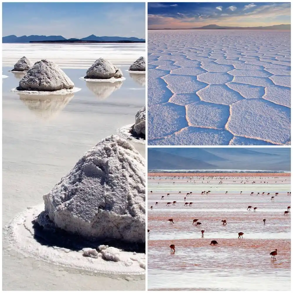 عجائب وغرائب 😬🥶 post