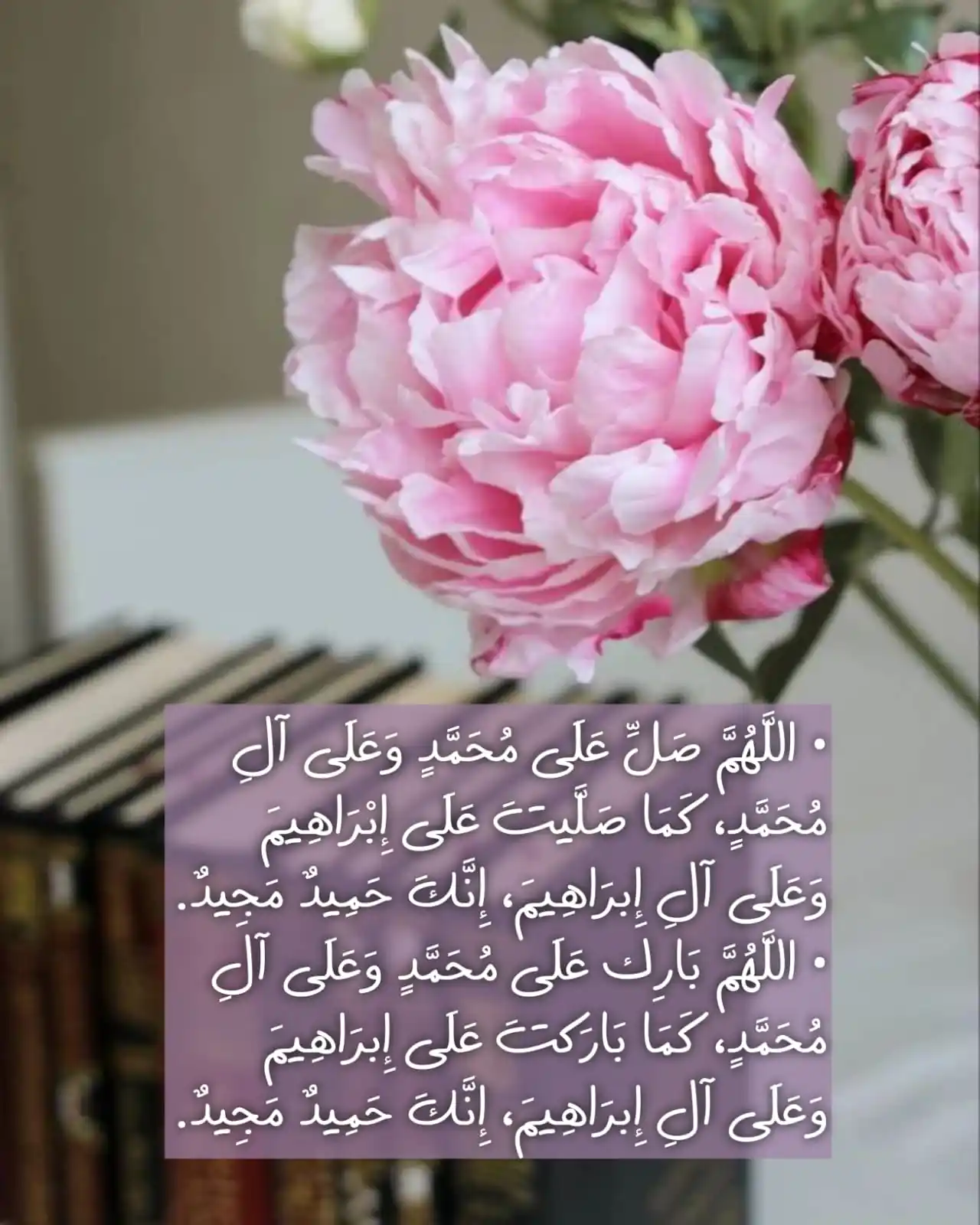 عِذْقٌ رَدَاحٌ🌴 post