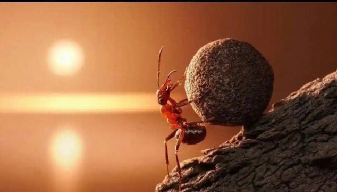 إبداعات تروى✍🏻 post