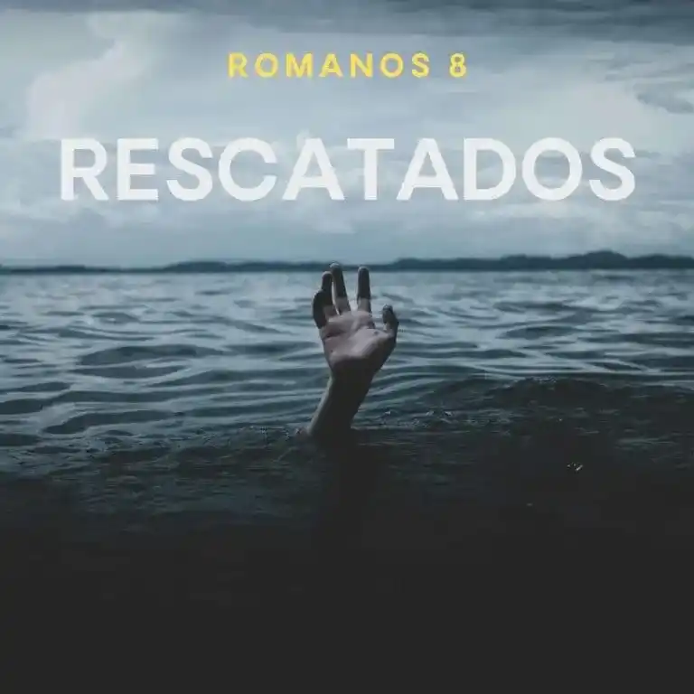 Abre la Biblia post