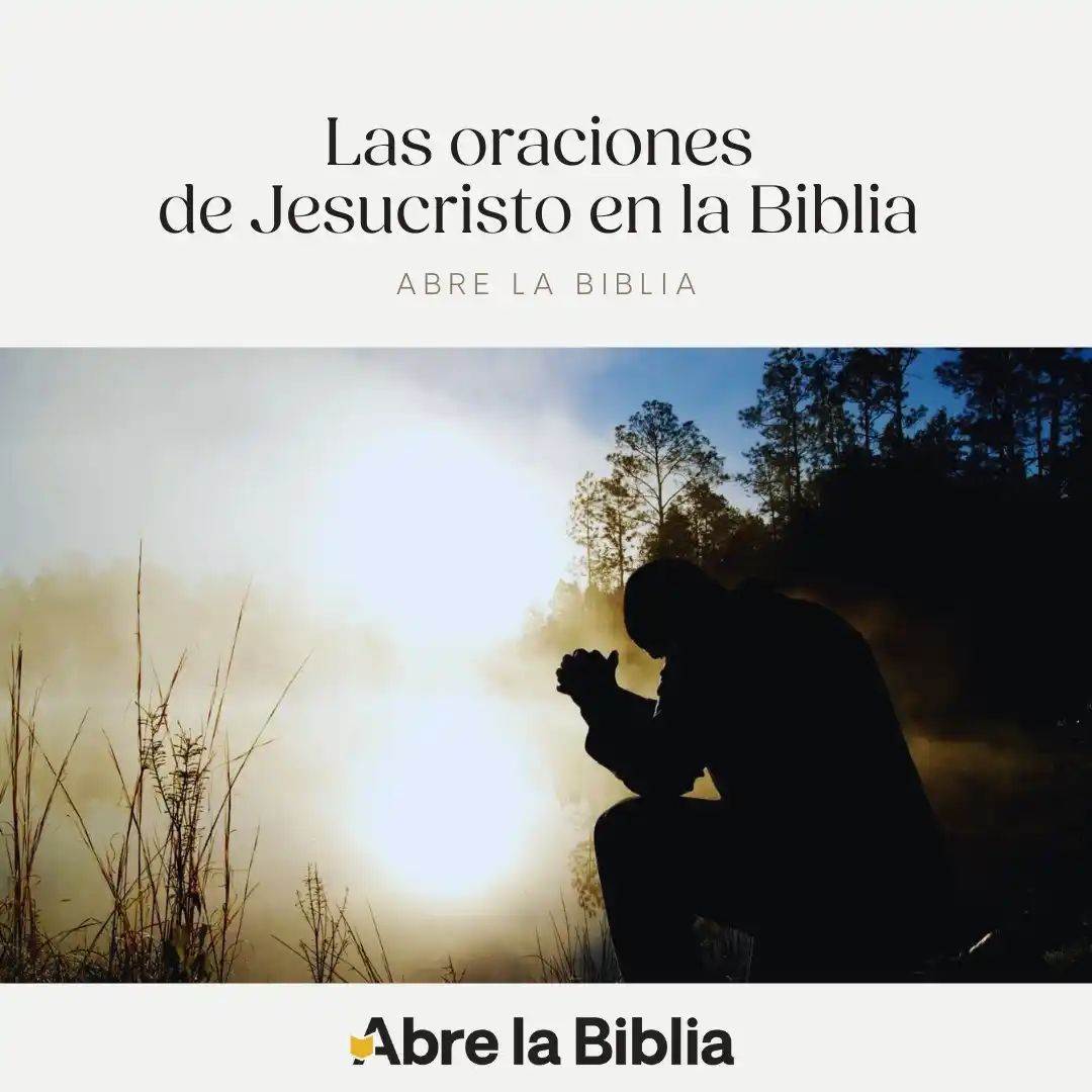 Abre la Biblia post